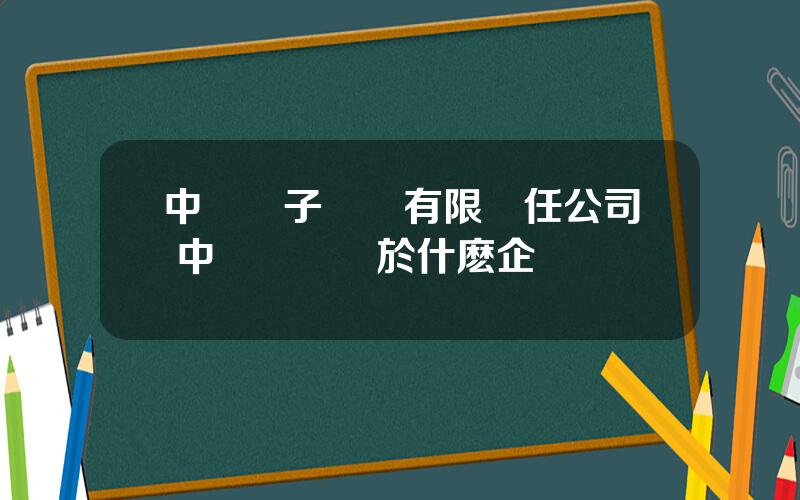 中國電子財務有限責任公司 中國電財屬於什麽企業